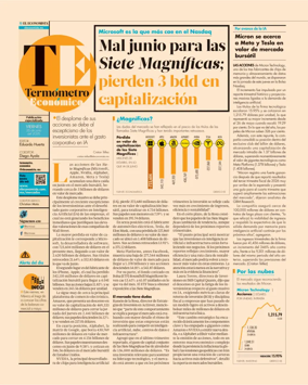Cover of Termometro Economico