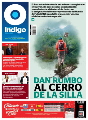 Cover of Reporte Indigo Monterrey
