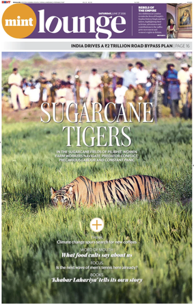 Cover of Mint Bangalore