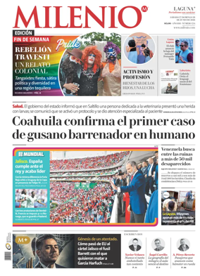 Cover of Milenio Laguna