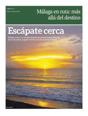 Cover of Generico