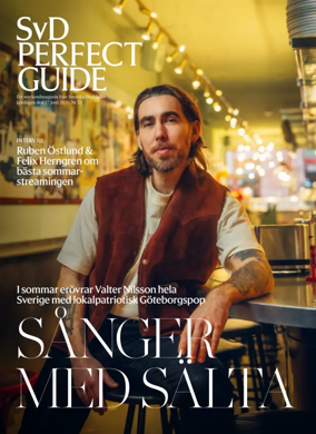 Cover of SvD Perfect Guide