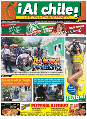 Cover of Al chile