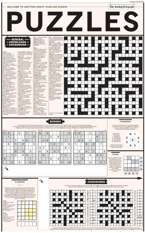 Cover of Puzzles