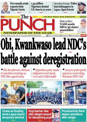 Cover of The Punch