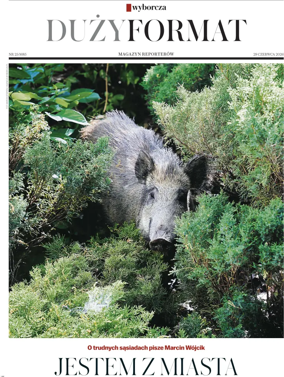 Cover of Duzy Format
