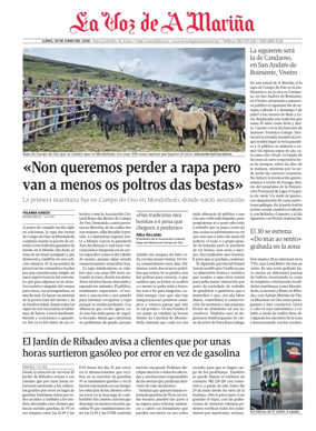 Cover of Viveiro local
