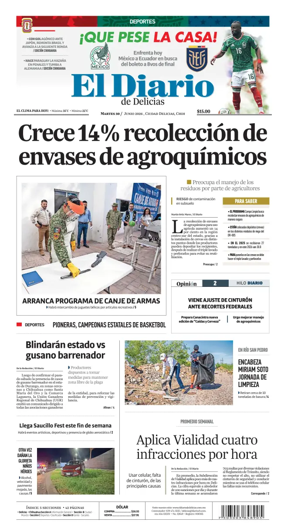 Cover of El Diario de Delicias