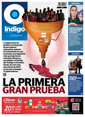 Cover of Reporte Indigo Nacional