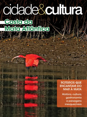 Cover of Cidade e Cultura
