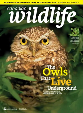 Cover of Canadian Wildlife