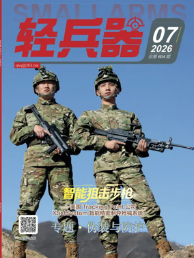 Cover of Small Arms