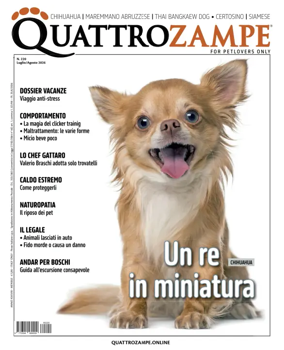 Cover of Quattrozampe