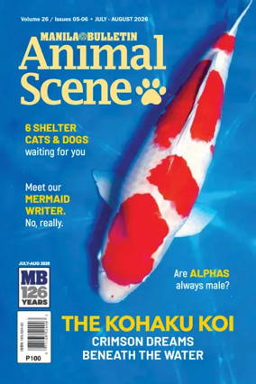 Cover of Animal Scene