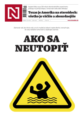 Cover of Dennik N
