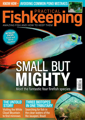 Cover of Practical Fishkeeping