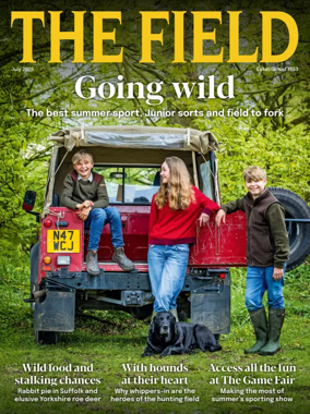Cover of The Field