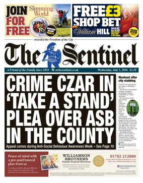 Cover of The Sentinel