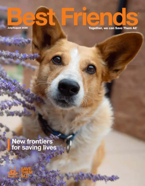 Cover of Best Friends