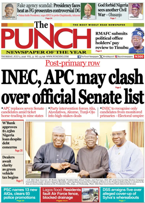 Cover of The Punch