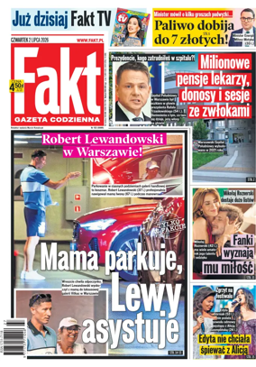 Cover of Fakt