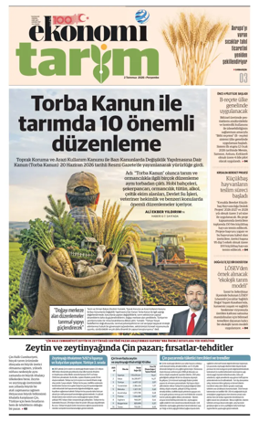 Cover of NBE - Sektor Ekleri