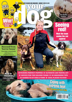 Cover of Your Dog