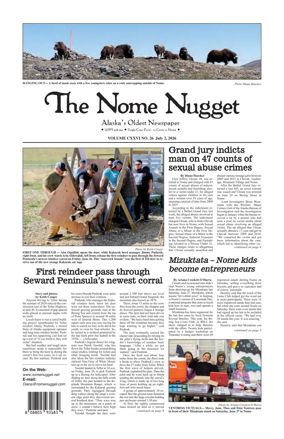 Cover of The Nome Nugget