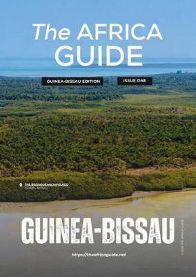 Cover of The Africa Guide