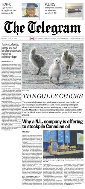 Cover of The Telegram (St. John's)