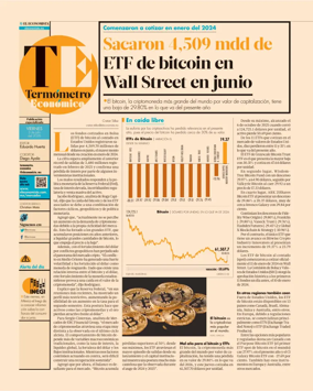 Cover of Termometro Economico