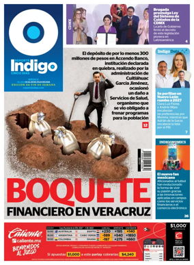 Cover of Reporte Indigo Nacional