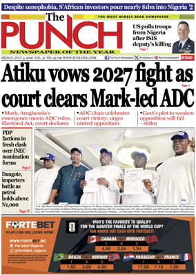 Cover of The Punch