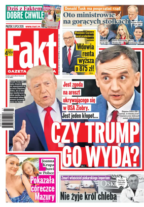 Cover of Fakt