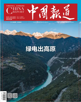 Cover of China Report