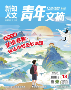 Cover of Youth Digest Full Color Edition