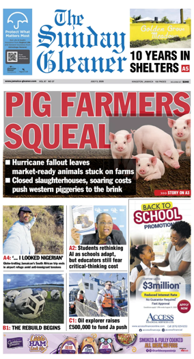 Cover of The Gleaner