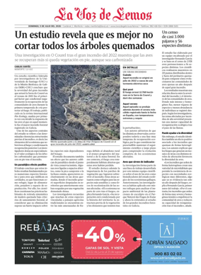 Cover of Monforte local
