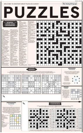 Cover of Puzzles