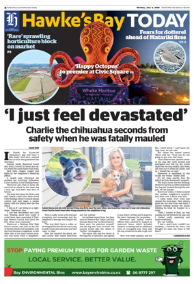 Cover of Hawke's Bay Today