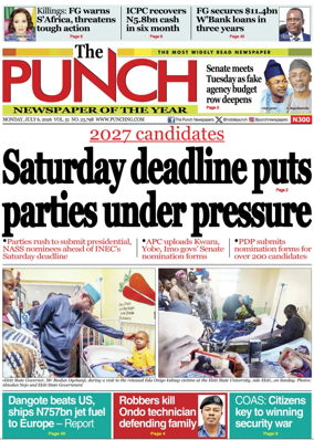 Cover of The Punch