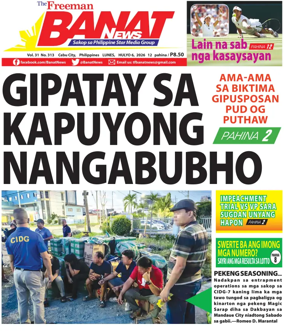 Cover of Banat News