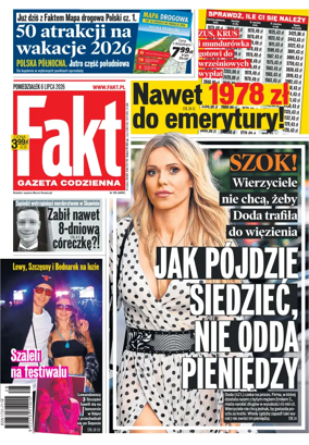 Cover of Fakt
