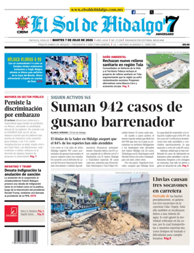 Cover of El Sol de Hidalgo