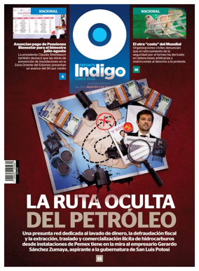 Cover of Reporte Indigo Nacional