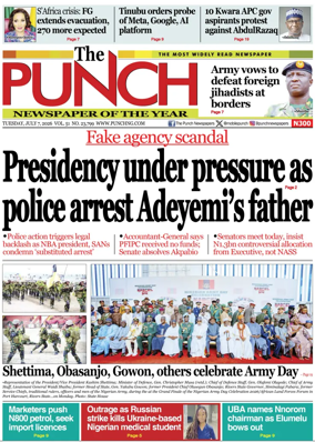 Cover of The Punch
