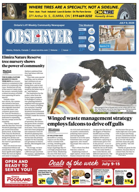 Cover of The Woolwich Observer