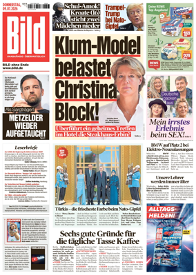 Cover of Bild