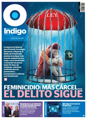 Cover of Reporte Indigo Nacional