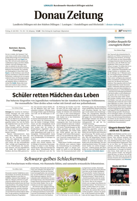 Cover of Donau Zeitung